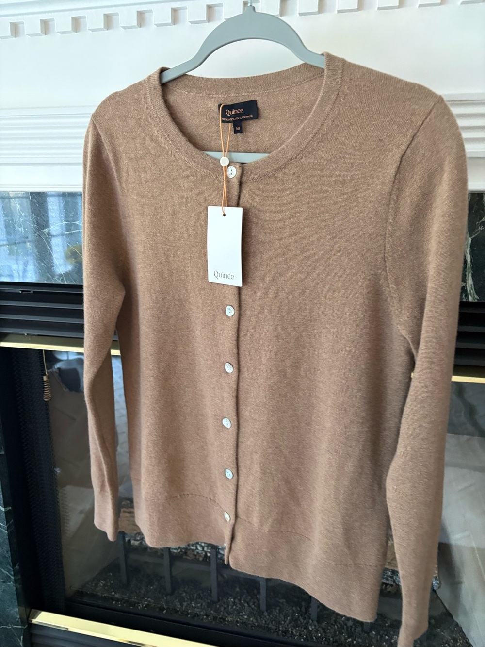 Quince Button-Front Mongolian Cashmere Cardigan Sweater